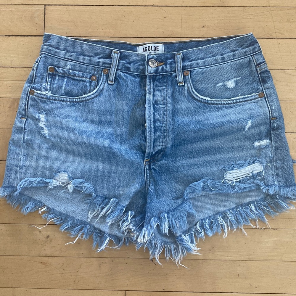Agolde Parker Vintage Cutoff Shorts in Swampmeet